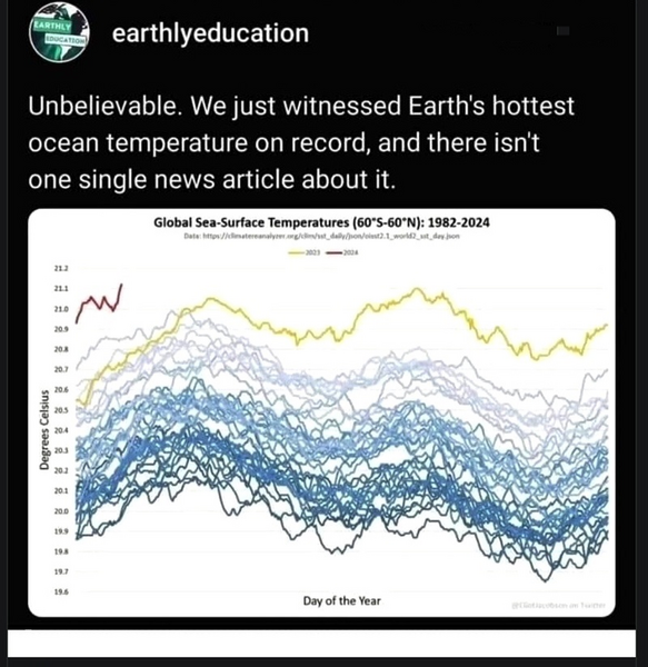 File:Global sea surface temperature 1982-2024.png
