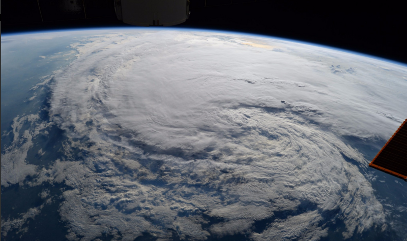 File:Harvey Houston.png