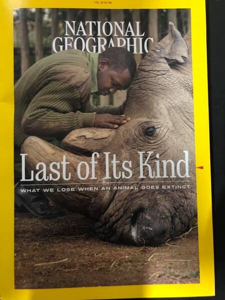 File:Last of its kind.jpg