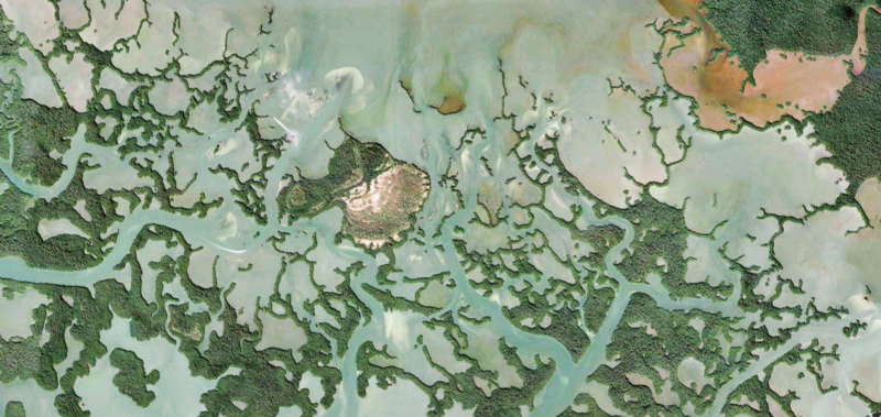 File:Naples, US Earthviews at GreenPolicy360.png