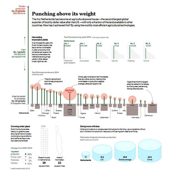 File:Netherlands agriculture - Outstanding results globally.jpg