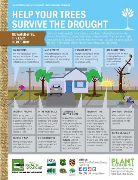 File:Plant Trees-infographic.jpg