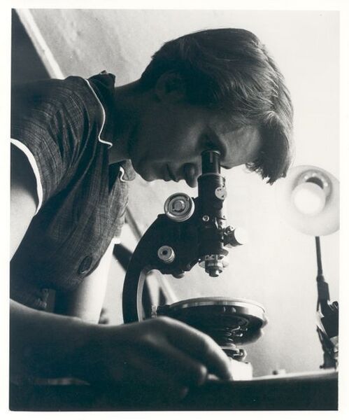 File:Rosalind Franklin.jpg