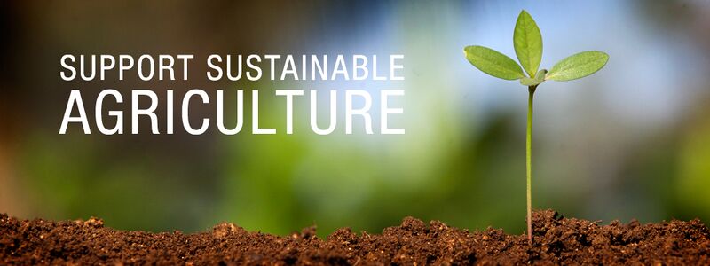 File:Sustainable agriculture.jpg