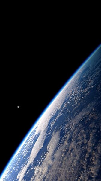 File:Thin Blue 2019.jpg