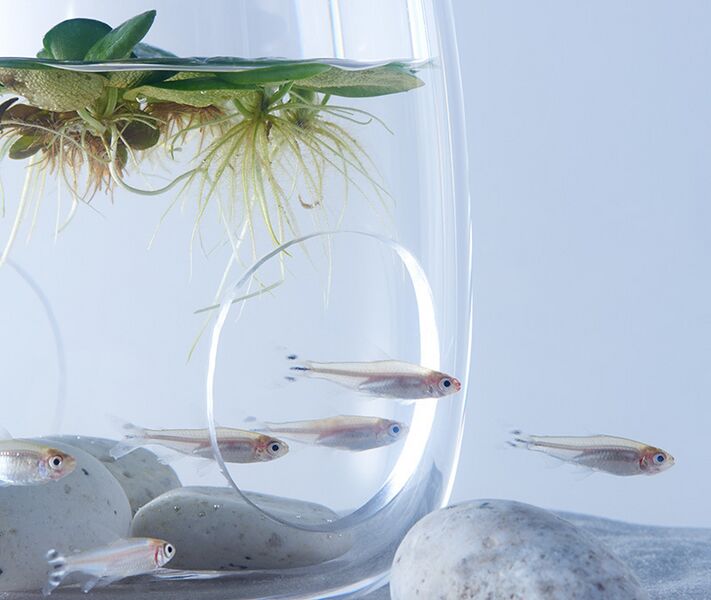 File:Waterscape HarukaMisawa 04-1.jpg